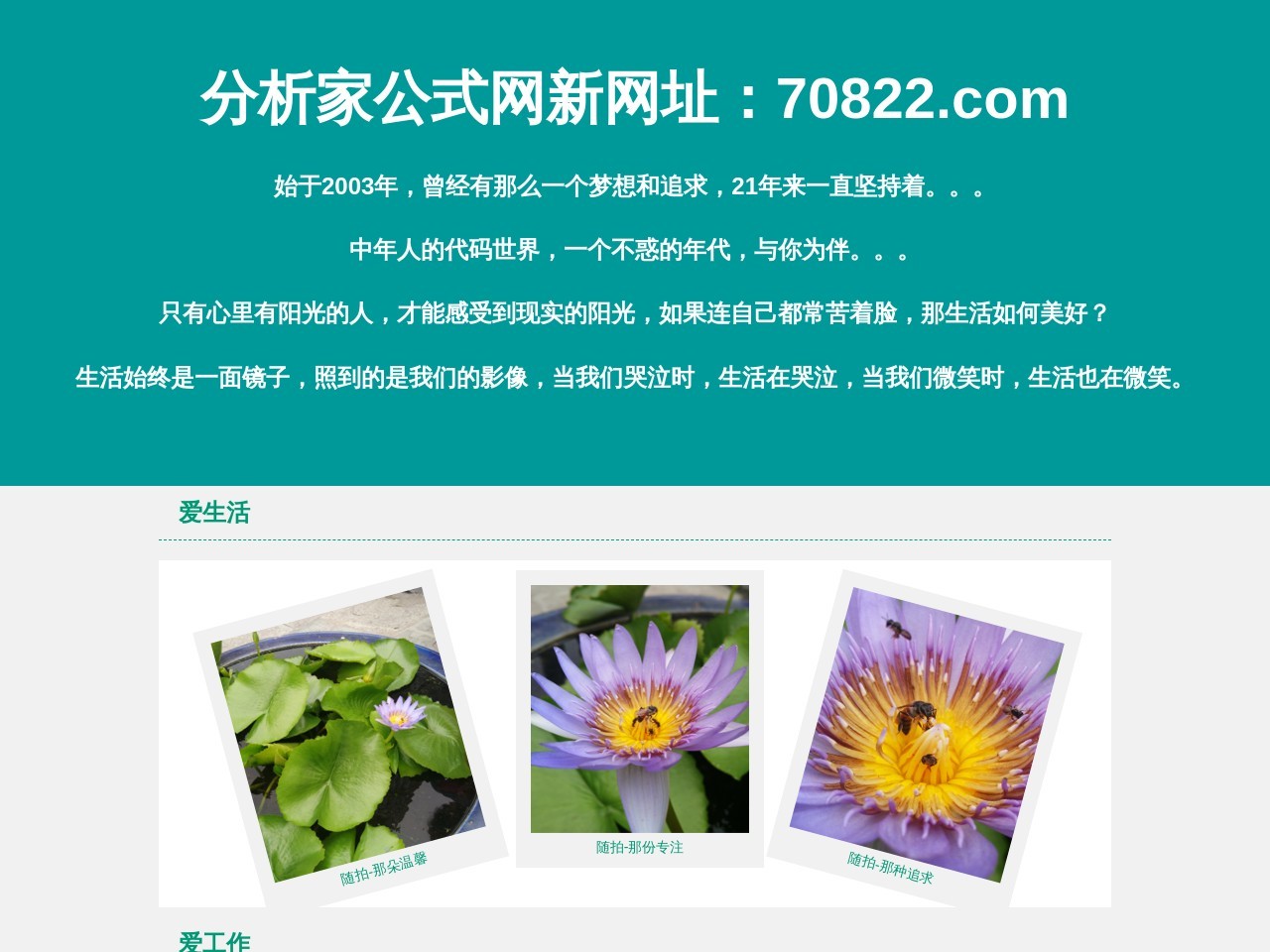 分析家公式网
