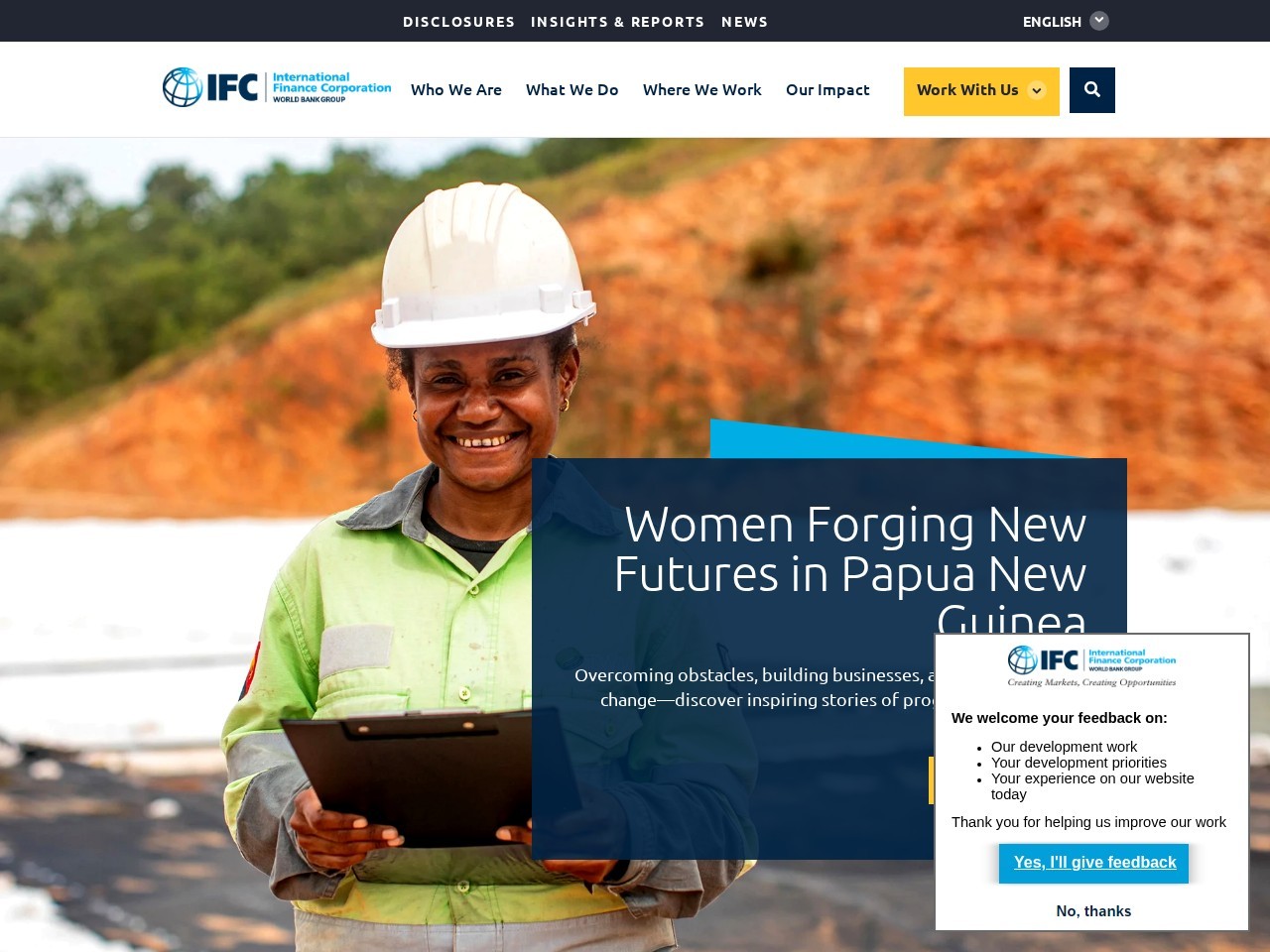 IFC(International Finance Corporation)