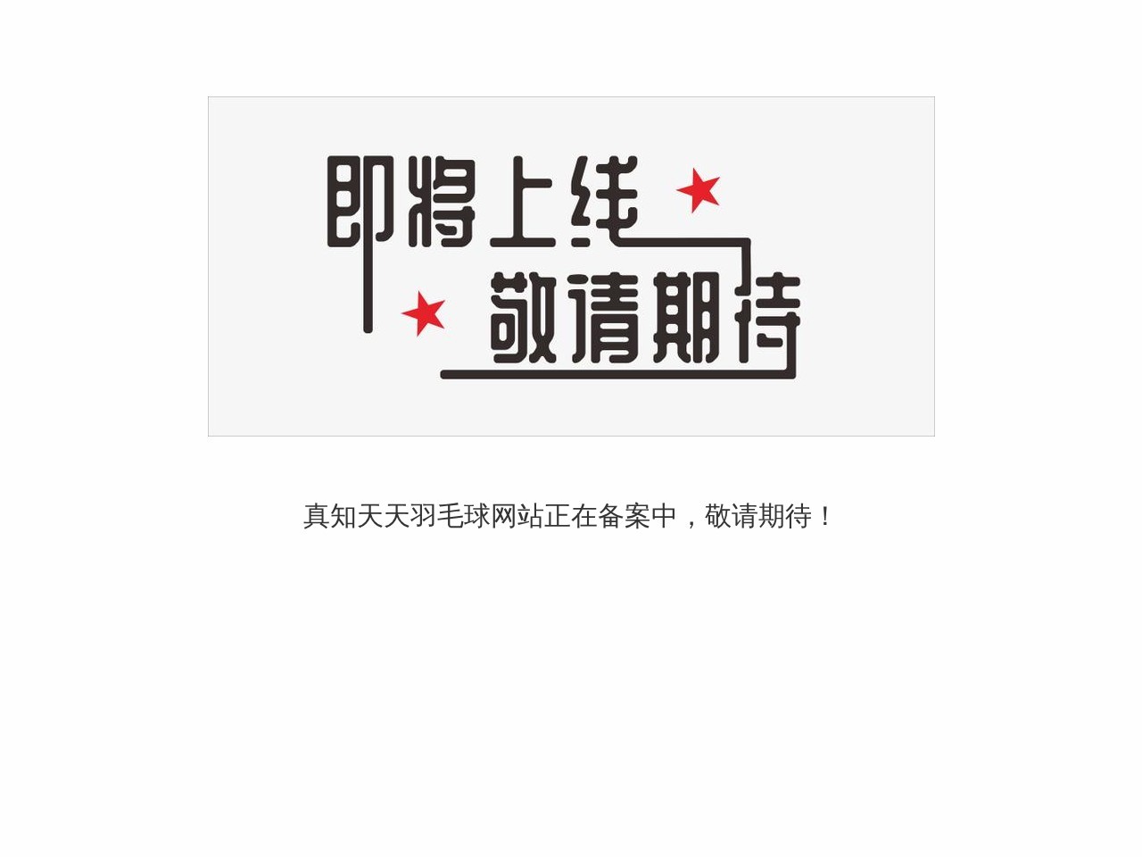 天天羽毛球网